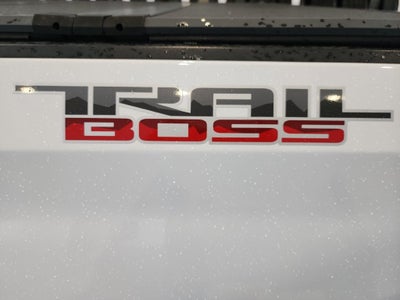2019 Chevrolet Silverado 1500 Custom Trail Boss